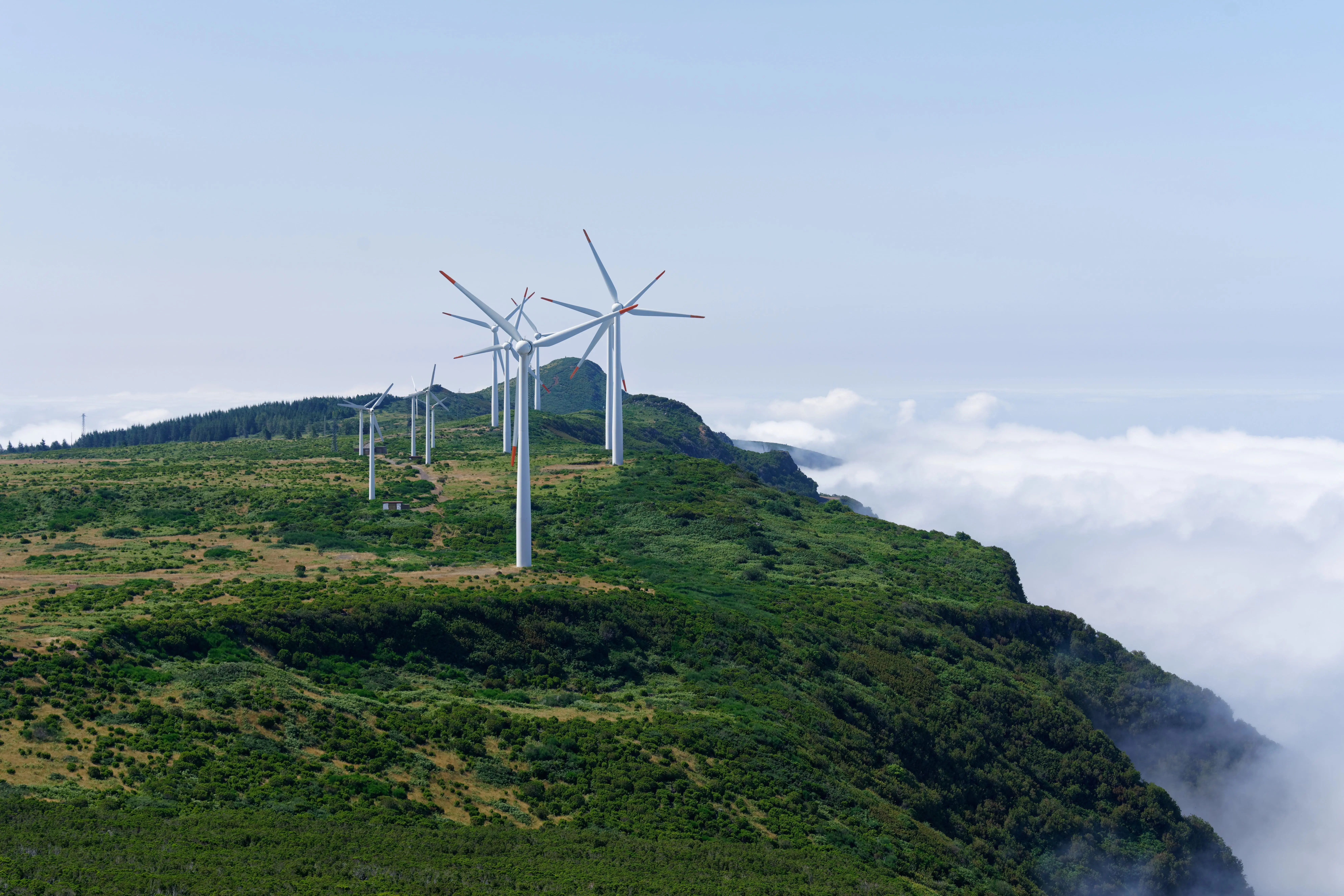 Wind turbines and solar panels at sunset